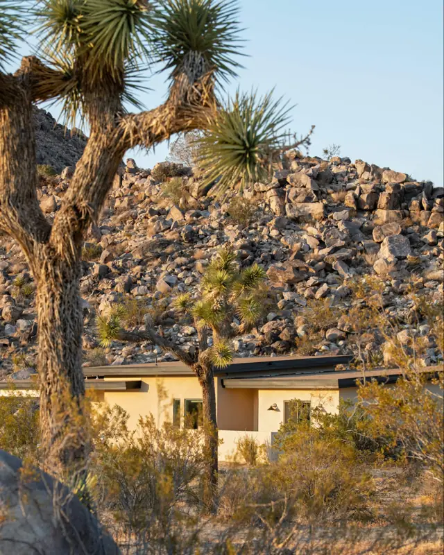 Exterior: Exterior